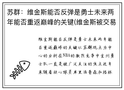 苏群：维金斯能否反弹是勇士未来两年能否重返巅峰的关键(维金斯被交易到勇士)